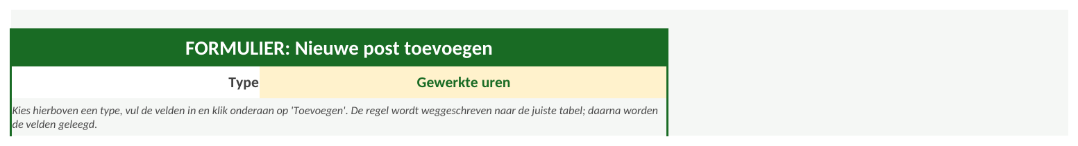 Voorbeeld van het tabblad Invoer in de Excel-tool, met fictieve data